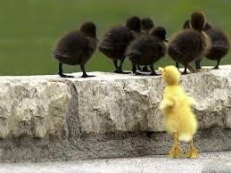 I Wanted to Fit In & Belong!