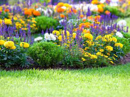 Pull The Weeds to Allow for Your Garden to Grow …Create Freedom Within You to Thrive!