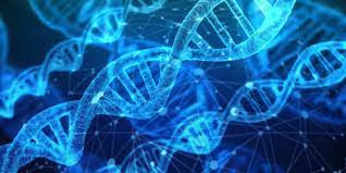 What Are Genetic & Lineage Encodings?