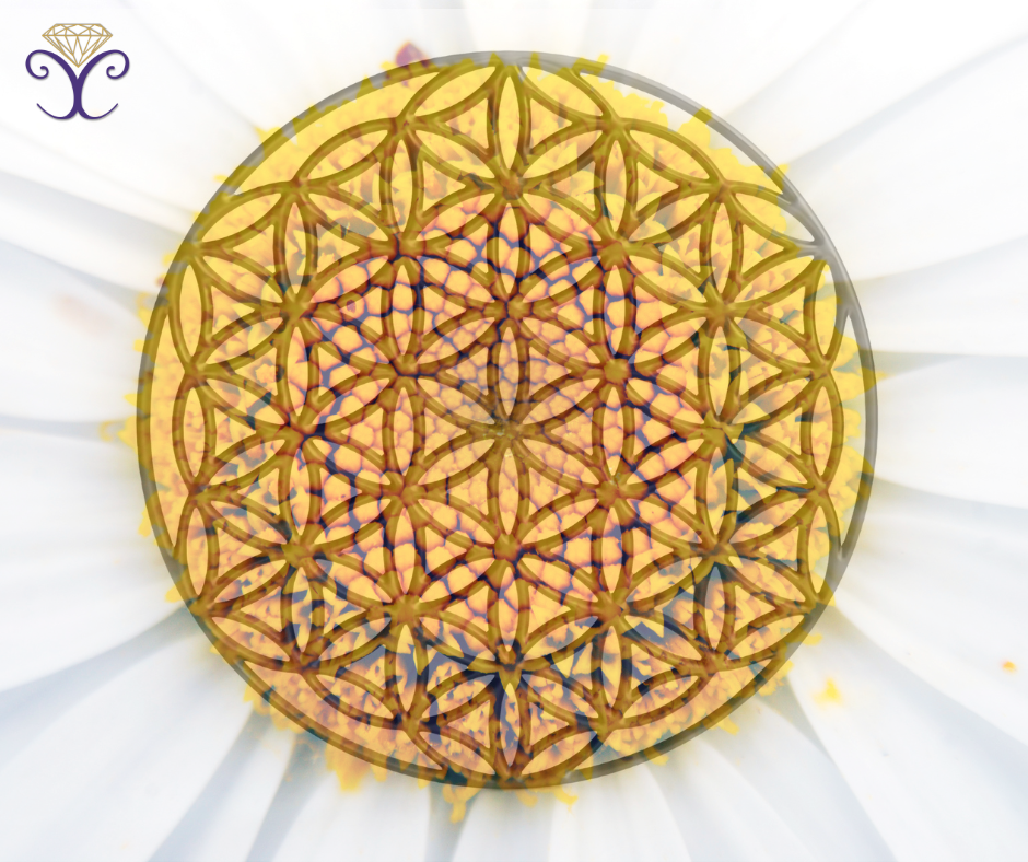 Flower of Life