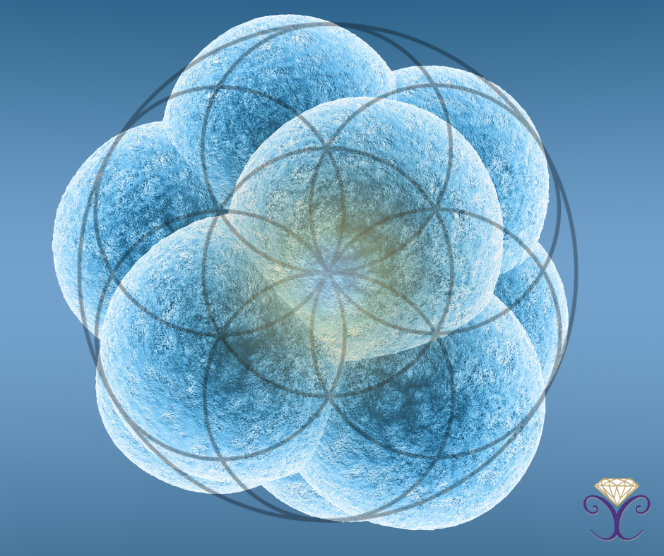 Seed of Life